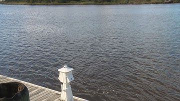 Latest on PFAS contamination in the Cape Fear