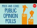 Pros and cons of public opinion polls - Jason Robert Jaffe