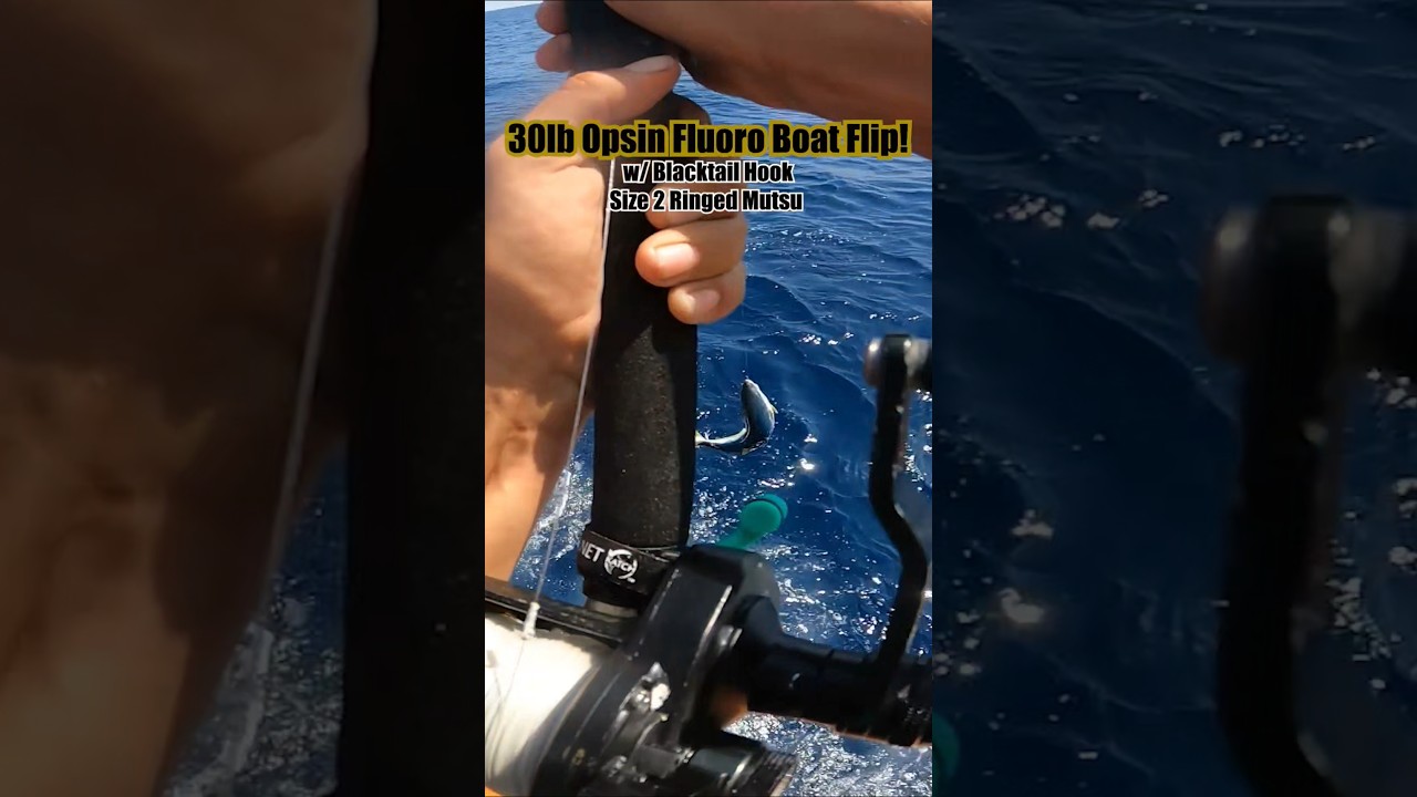 Рыба, пойманная в прямом эфире на AWatermansLife! Обожаю флюорокарбоновую леску Opsin! Переворот ...