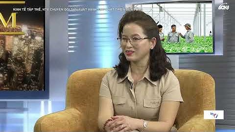 KINH TẾ TẬP THỂ, HTX CHUYỂN ĐỔI SẢN XUẤT XANH CHO PHÁT TRIỂN BỀN VỮNG