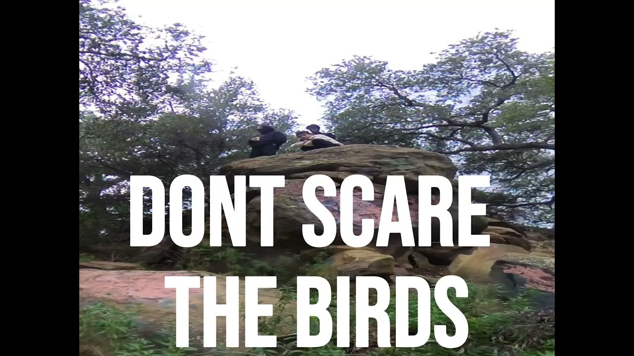 Bitches Be By Peachy Keen