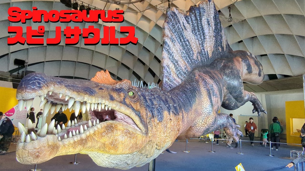 古生物紹介】スピノサウルス(Spinosaurus) - YouTube