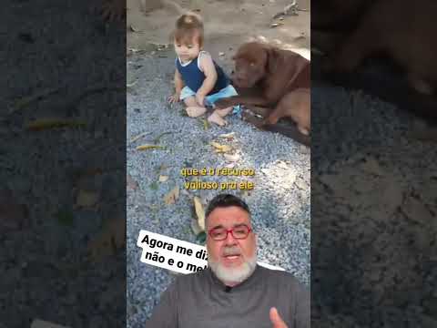 Vídeo: Criança sem pés Obtém filhote de cachorro sem pata