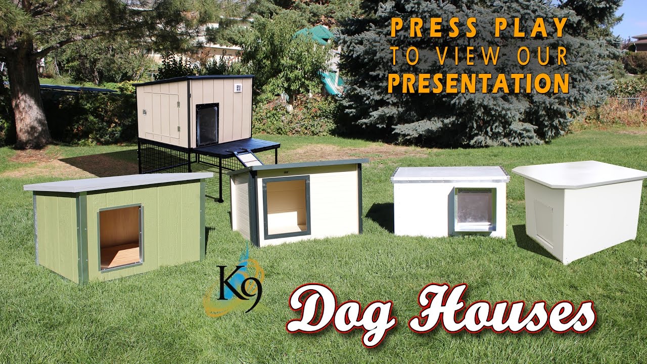 Dog House Main Video YouTube