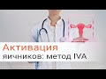 Активация яичников: метод IVA