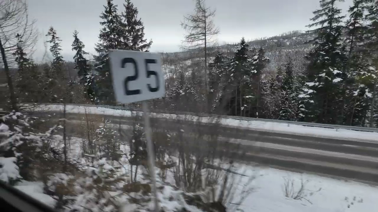 Train from Tatranská Lomnica to Poprad | Поезд от Татранска Ломница в Попрад #slovakia #trainvideo