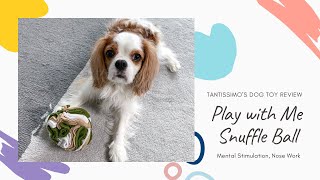 Cavalier King Charles Spaniel Puppy Playing with Dog Toy - Snuffle Ball by Tantissimo the Cavie 695 views 2 years ago 1 minute, 42 seconds