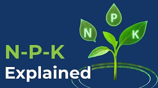 Download Lagu Wat betekenen de drie getallen op meststof? 🌿 | NPK eenvoudig uitgelegd MP3