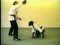 Macaco lutador Karate Funny