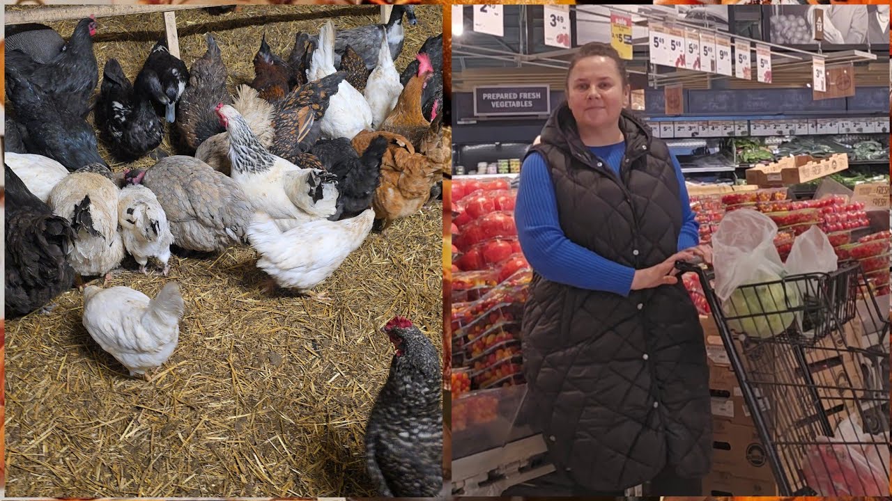 МАЛЕНЬКАЯ ФЕРМА В МИЧИГАН. СЕЛЬЧАНКА В АМЕРИКЕ. 