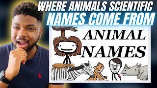🇬🇧BRIT Reacts To SAM O'NELLA - WHERE ANIMALS SCIENTIFIC NAMES COME FROM!