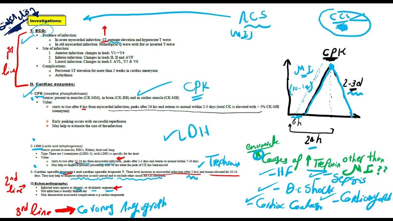 CVS module Revision(5) - YouTube