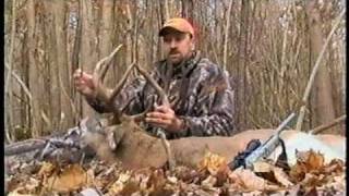 QDMA TV Show