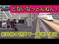 どないなっとんねん！世界一の速さで通過していく新幹線に外国人観光客が震える