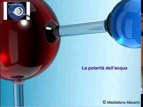 Video: Qual è il significato della polarità dell'acqua?