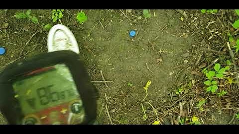 Fisher f19 - all metals mode - czułość