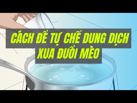 Video: Mùi Gì Khiến Mèo Sợ Hãi: Cách Xua đuổi Chúng để Không Làm Hỏng, Với Những Mùi Hương Mà động Vật Không Thích, đánh Giá, Video