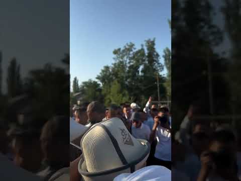 YouTube видео