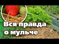 КАК ПОВЫСИТЬ ПЛОДОРОДИЕ. ПРАВИЛА МУЛЬЧИРОВАНИЯ ОТ А ДО Я