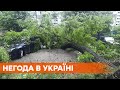 Падають дерева та затоплює вулиці: погода у Запоріжжі та Одесі