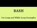 BASH SHELL SCRIPT WELL EXPLAINED in 1h: "If, Elif, Else, For and While Loop"