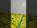 fresh Banana 🍌🍌
