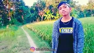 CEWE MALU MALU KUCING || STORY WA