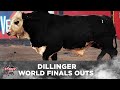 The FIRST Back-to-Back World Champion BUCKING BULL: Dillinger