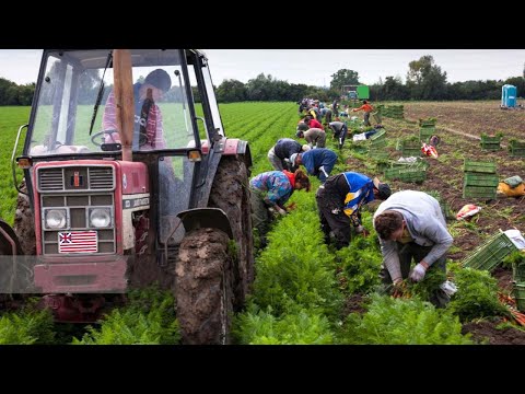 US Farmers Harvest Thousands Of Tons Of Agricultural Products In 2023 This Way