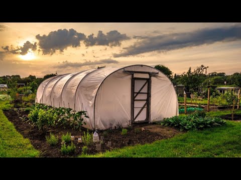 Ce acțiuni poate întreprinde un agricultor când organele de control cer mită? Agricultura Moldova