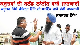 ਕਬੂਤਰਾਂ ਦੀ ਬਲੱਡ ਲੈਣ ਲਾਈਨ ਬਾਰੇ ਜਾਣਕਾਰੀ JASKARN SINGH KABOOTAR BAZZ