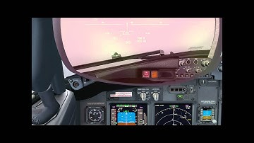 FSX PMDG 737NGX Autoland in bad weather.