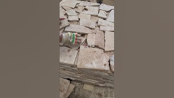 Tumbled Beige Limestone Crazy Stone Irregular Paving Stone