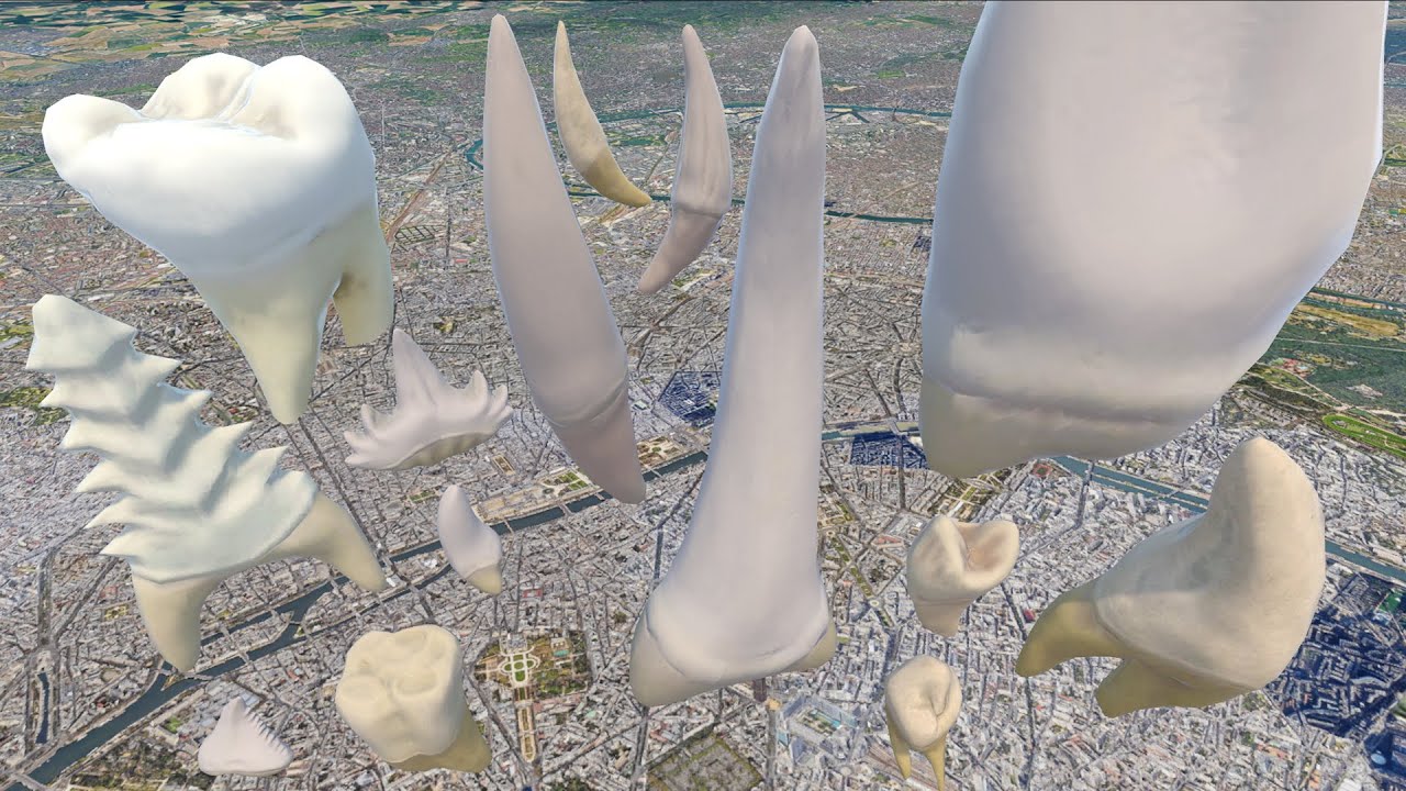 Monster Tooth Size Comparison 🦷 – Bloop vs Sea Eater Vs Jörmungandr Vs Gongen Wyzen