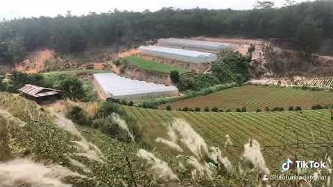 Đa Quý - Xuân Thọ - Đà Lạt mùa Cỏ Tranh