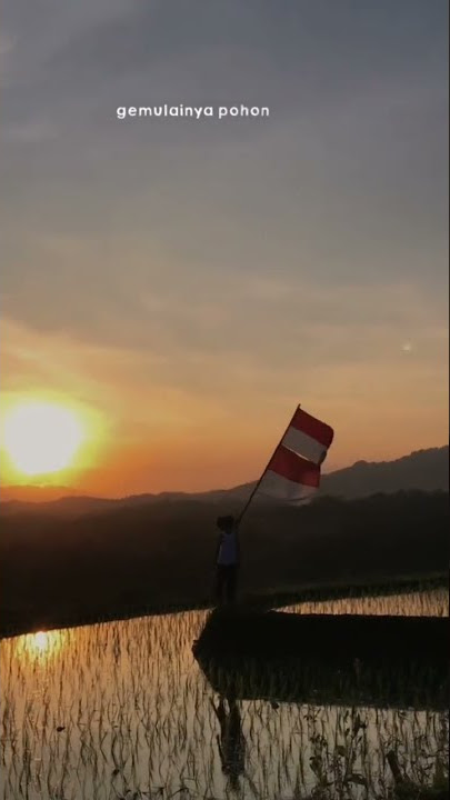 Story wa hari kemerdekaan||story wa untuk hari kemerdekaan keren#shorts