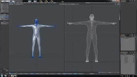 TrueArt LightWave 3D Tutorial How To Configure Dual Viewport Mode Full HD video with subtitles