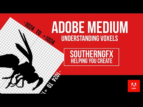 Understanding the voxel