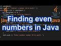Checking even numbers using a function in Java