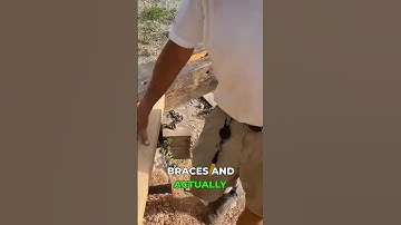 How to Make Money from Rough Cut Lumber