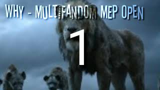 Why - multifandom mep open