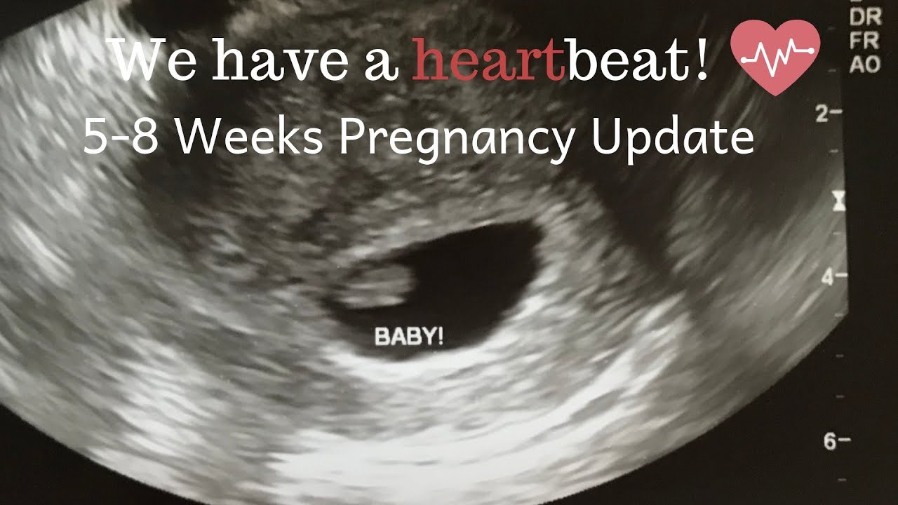 How To Calculate Ivf Pregnancy Weeks How To Calculate Ivf Pregnancy Weeks