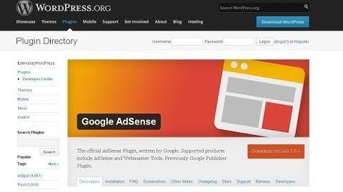 How To Add Official Google Adsense Plugin To Wordpress