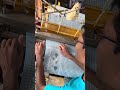 Jamdani Hand Weaving West Bengal | Indian Heritage Craft