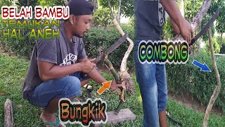 Belah Bambu Combong dan Bambu Bungkik Temukan Hal Aneh.!?