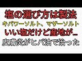 塩の選び方は製法をチェックする。評判のいいキパワーソルト、マザーソルト製法を調べてみた。産地が残念。粟国の塩がおすすめです。ヒバ油の凄い効果