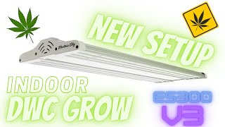 es300 v3 unboxing and updates on the grow! Not for children! 19+ ONLY!For education purposes only!