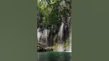 سورة الإخلاص #quran #قرآن #القرآن_الكريم #الشناوى #المصحف #سورة