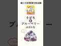 【ビジュアルのインパクト大】そぼろとブルーベリーおにぎりの作り方🍙🫐