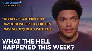 What the Hell Happened This Week? - Week of 9/20/21 | The Daily Show